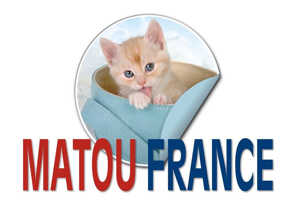 MATOU FRANCE MYKONOS